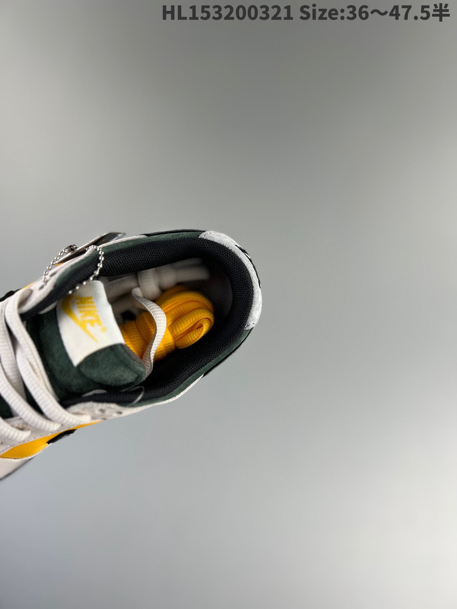 Dunk Sb Low 24 36-47
