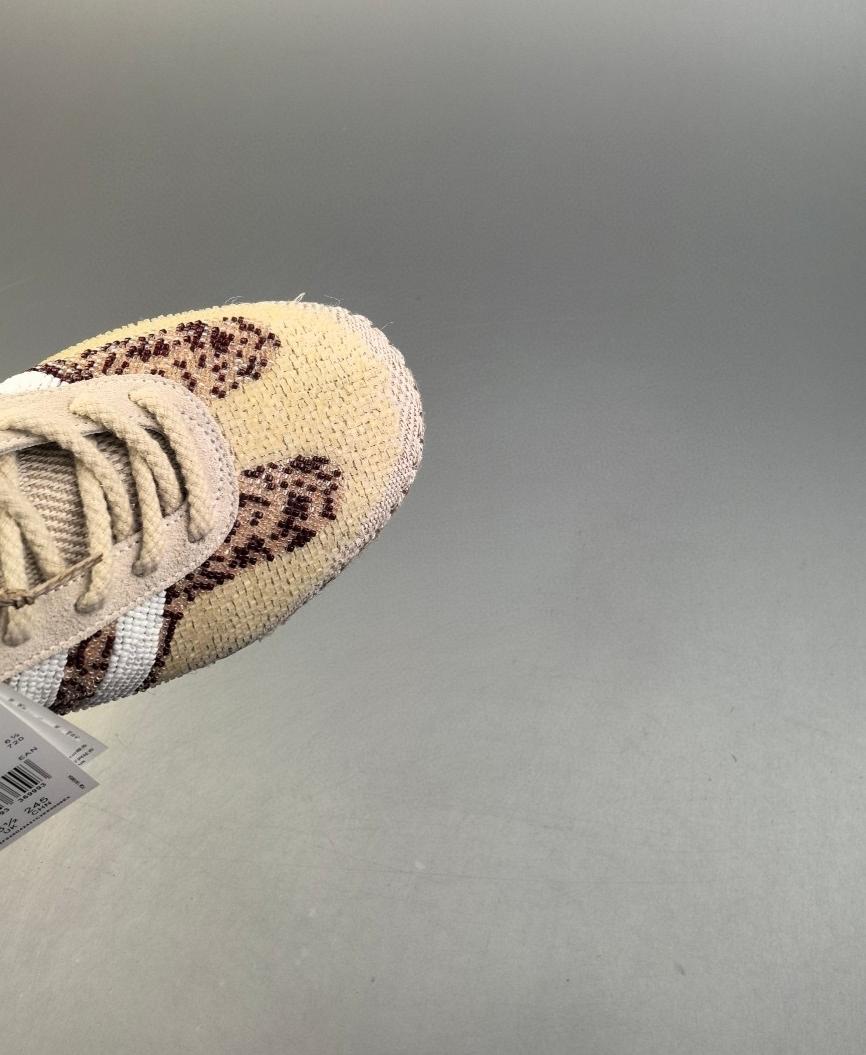 Clot X Originals Gazelle By Ec 36-45