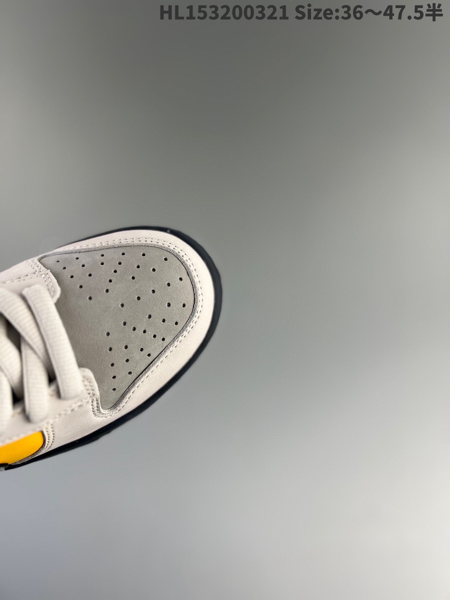 Dunk Sb Low 24 36-47