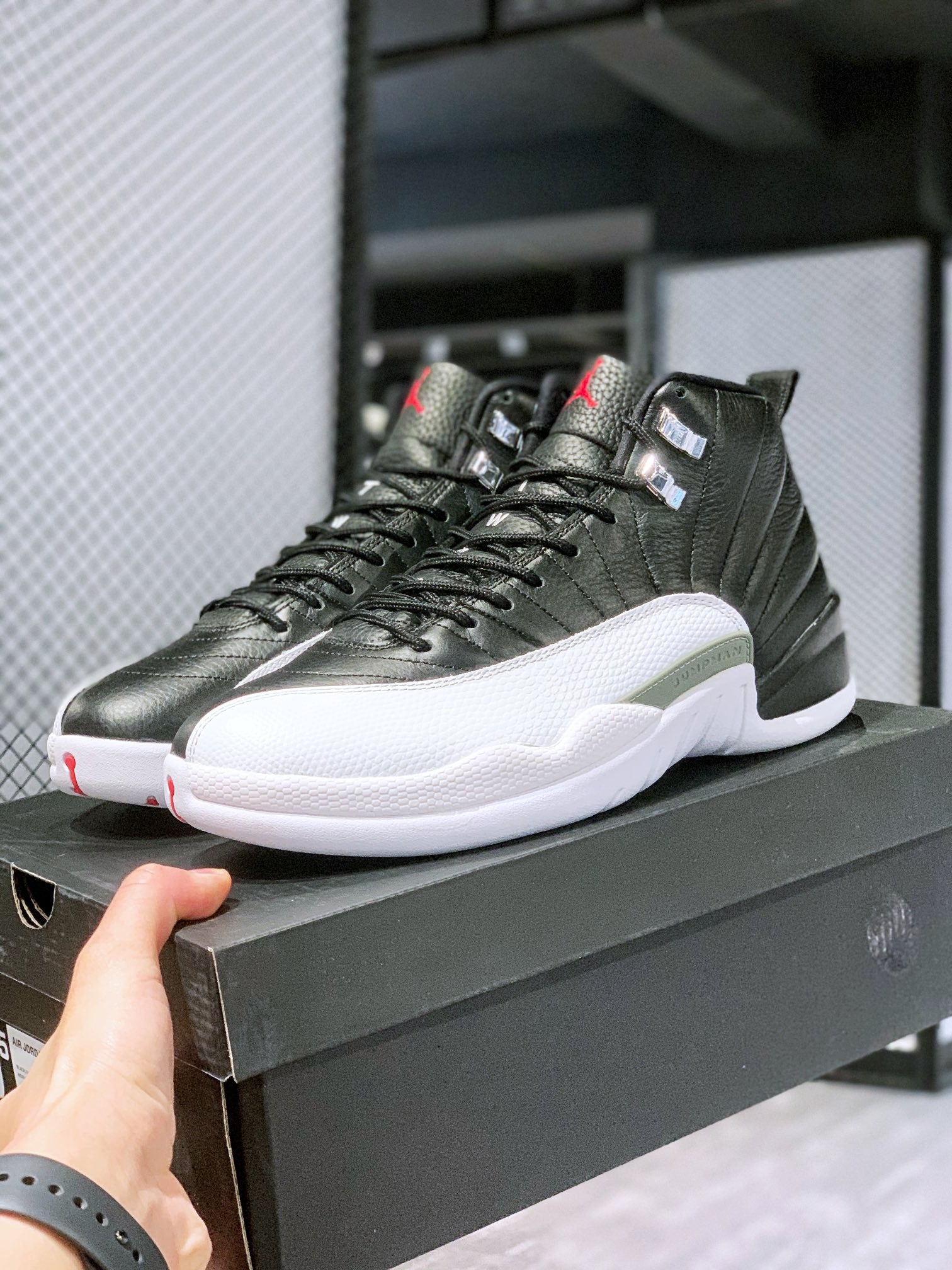 Air Jordan 12 40-47