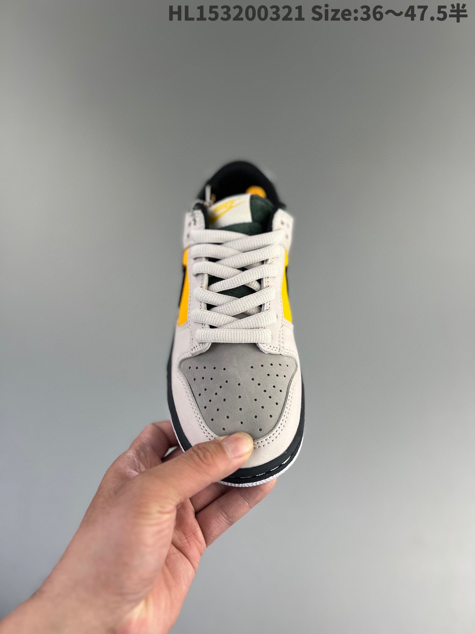 Dunk Sb Low 24 36-47
