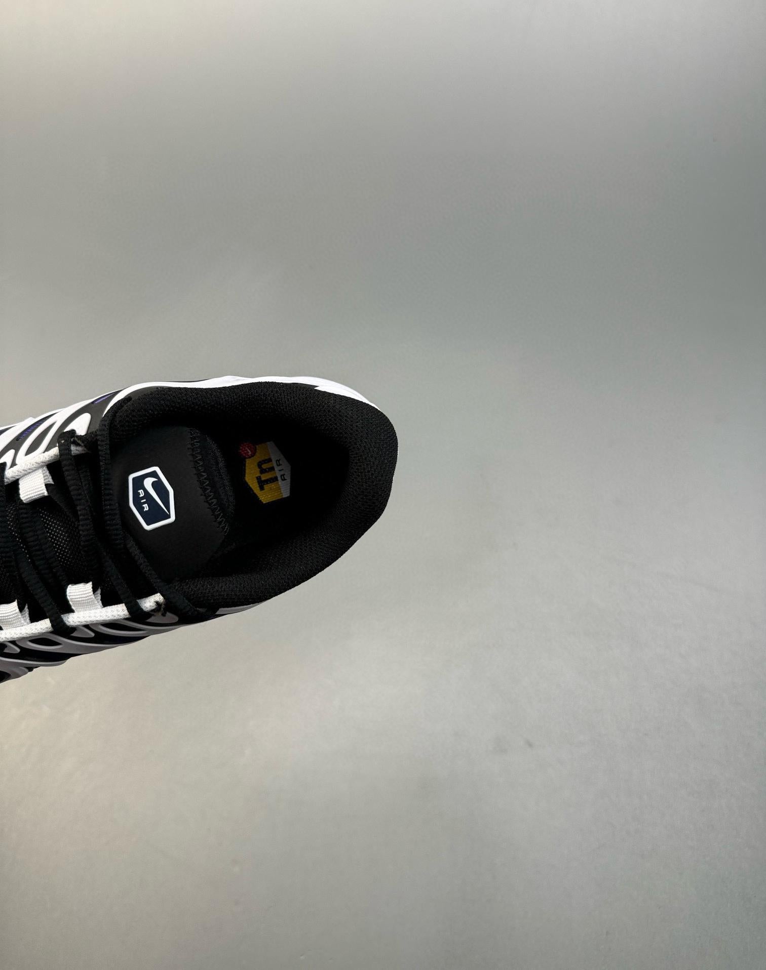 Air Maxplus Drift Tn 40-46