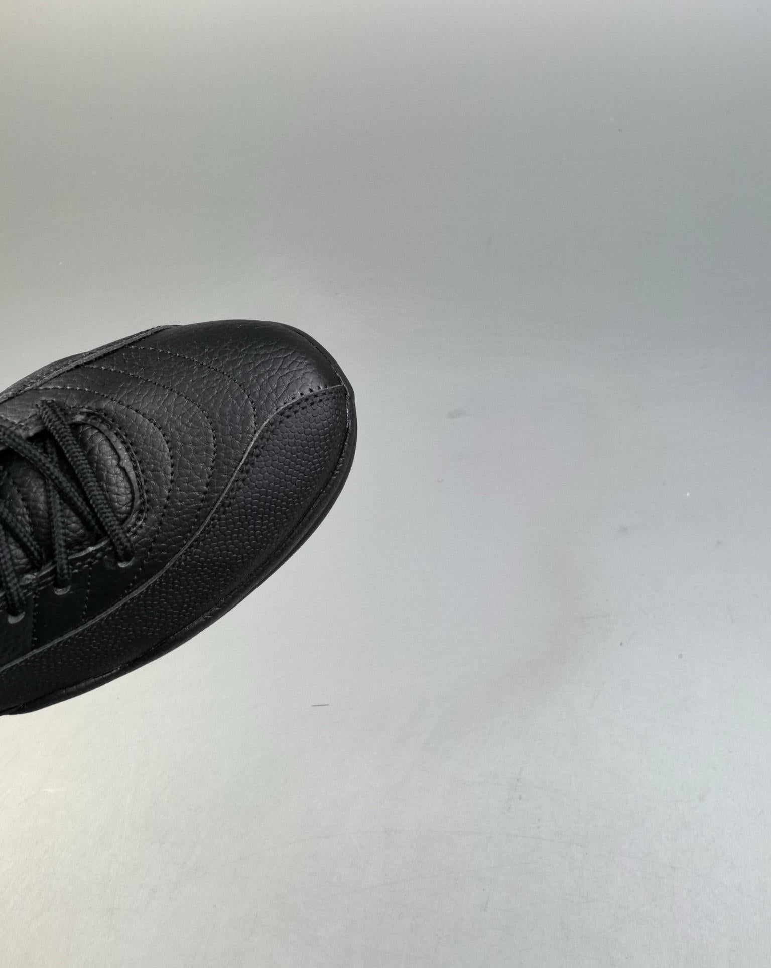 Air Jordan 12 Retro High Winterized